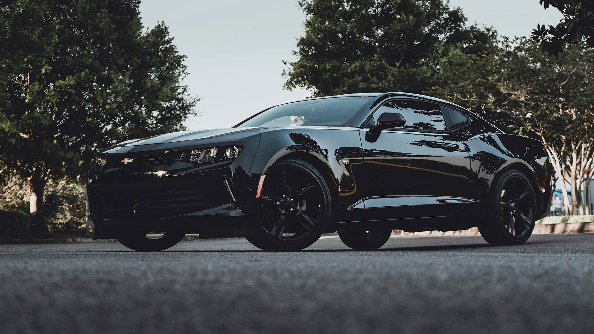 Black Bodywork - MAT Foundry